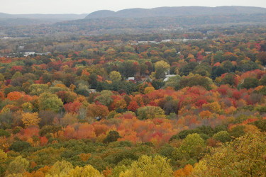 Peter's Rock in the Fall