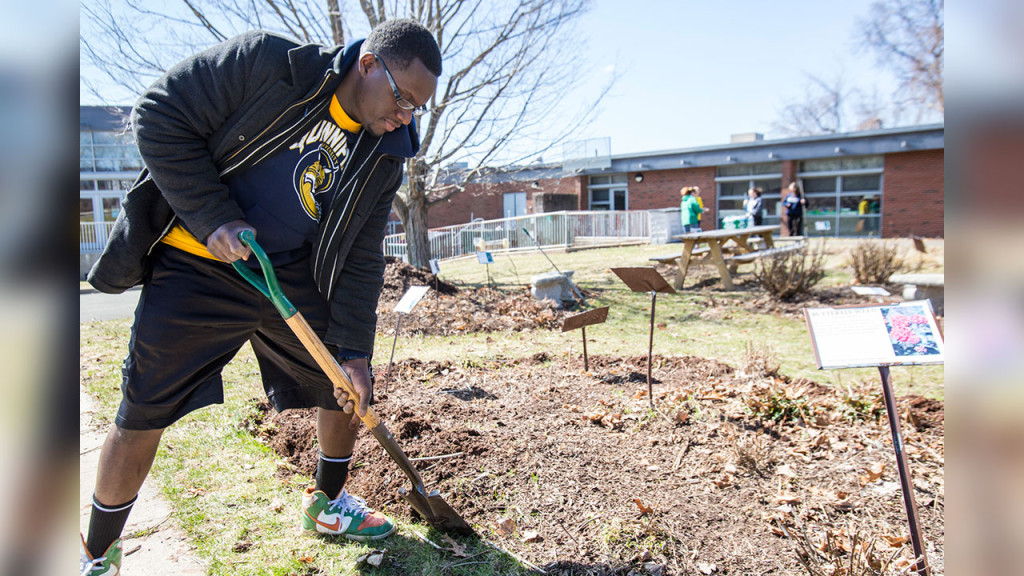 Quinnipiac University student John Midy edged flower beds at Bear Path School in Hamden during the 2015 Big Event.