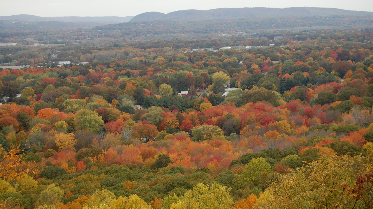 Peter's Rock in the Fall