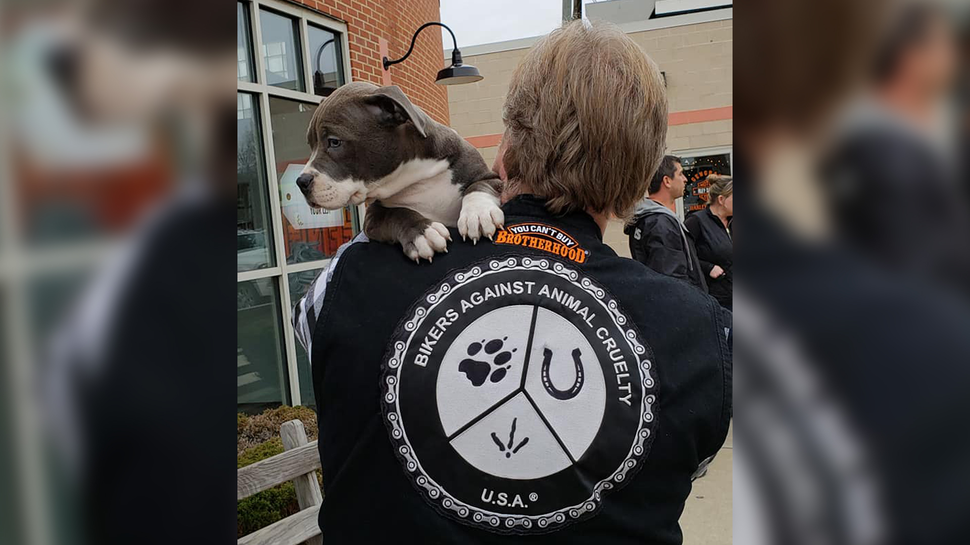 Bikers Against Animal Cruelty – NORTH HAVEN NEWS Bikers Against Animal Cruelty – NORTH HAVEN NEWS
